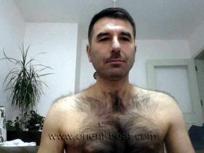 Kabil - a very Hairy Turkish Man with a big stone hard ****. (id1078)