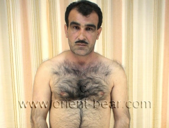 Safak - a hairy Naked Kurdish Man in a Kurdish **** P****oseries. (id688)