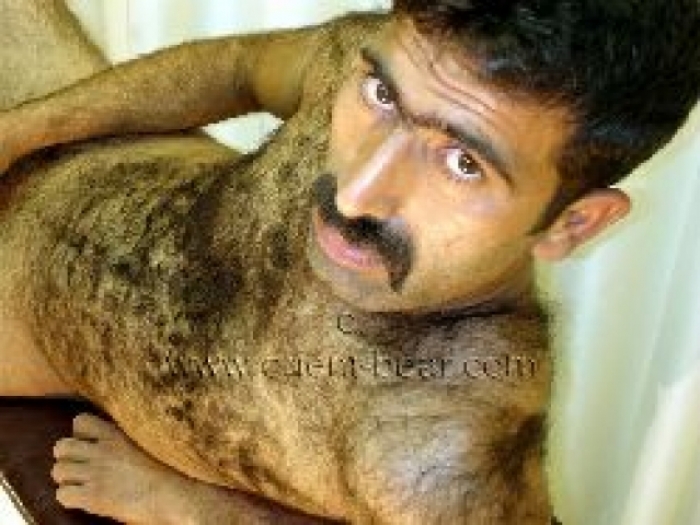 Cezair - a Hairy Naked Kurdish Man show his Ass in Doggy Style. (id169)