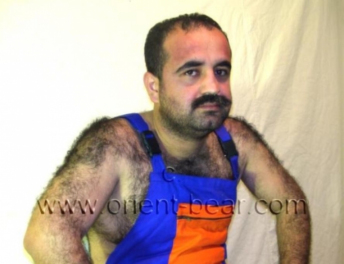 Osman E. - a very, very Hairy Turkish **** with Fur as Body Hair. (id523)