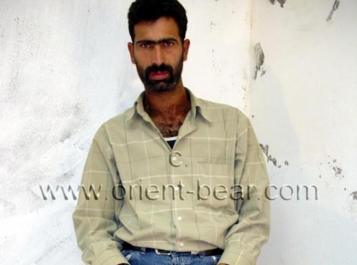 Cezair - a Naked Kurdish Prisoner with Fur as Body Hair. (id330)