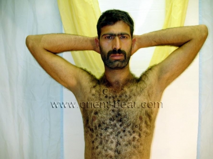 A very Hairy Naked Kurdish Man with Fur as Body Hair. (id401)
