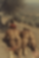 112529