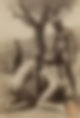 113368