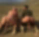 113736