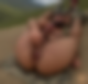 113747