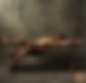 113901