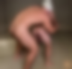 114097