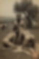 115221