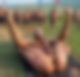 115314