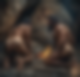 115567