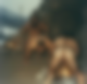 115664