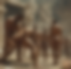 116578