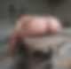 116801