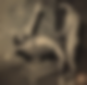 116906