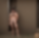 117068