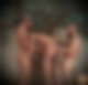 117078