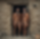 117098