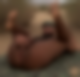 117506