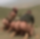 118150