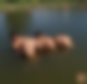 118382