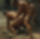 118566