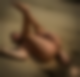 118567