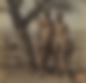 118634
