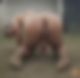 119702