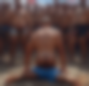 120000