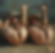 120442