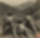 120481
