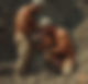121506