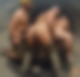 121693