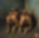 121780