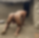 122322