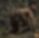 122377