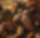 123663