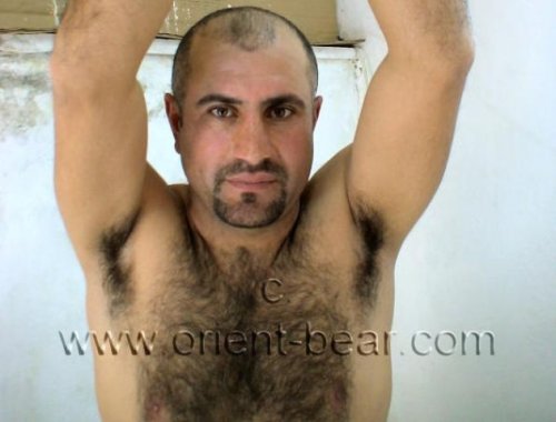 Ibis - a naked very Hairy Turk s...
