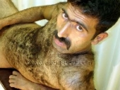 Cezair - a full Hairy Naked Kurdish Man with Fur as Body Hair show his very hairy Ass in Doggy Style. (id169)