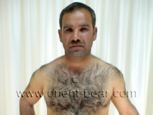 Sevtaka M. - a furry Naked Kurdish **** with 