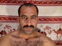 Veley - naked very Hairy Kurdish Man from Iran with a furry body and a totally hairy Ass. (id270)