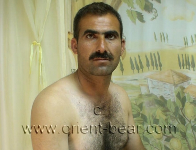 Tarek D. - is a tall Naked Hairy Kurdish Man with a very long and thin ****. (id328)