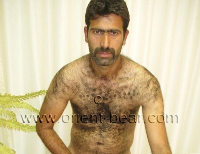 Cezair - is a tall Naked Hairy Kurdish Man with a very furry Body. (id387)