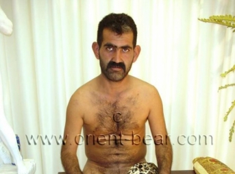 Ilhami - a Naked Hairy Kurdish Man from Iraq with an oriental Face and a completely hairy Body. (id615)
