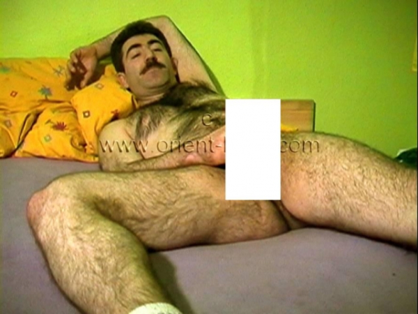 Sefer - a very horny Turkish Furry ...