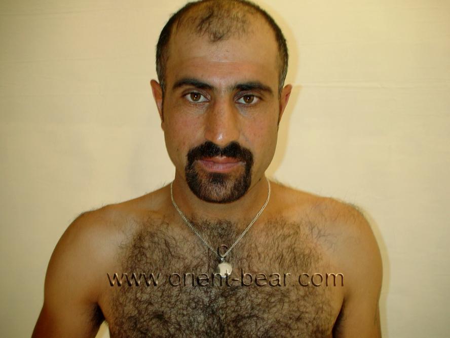 Ibis - a very hairy Naked Turkish Sailor with a perfect hairy Figure. (id1572) very hairy Naked Turkish Sailor